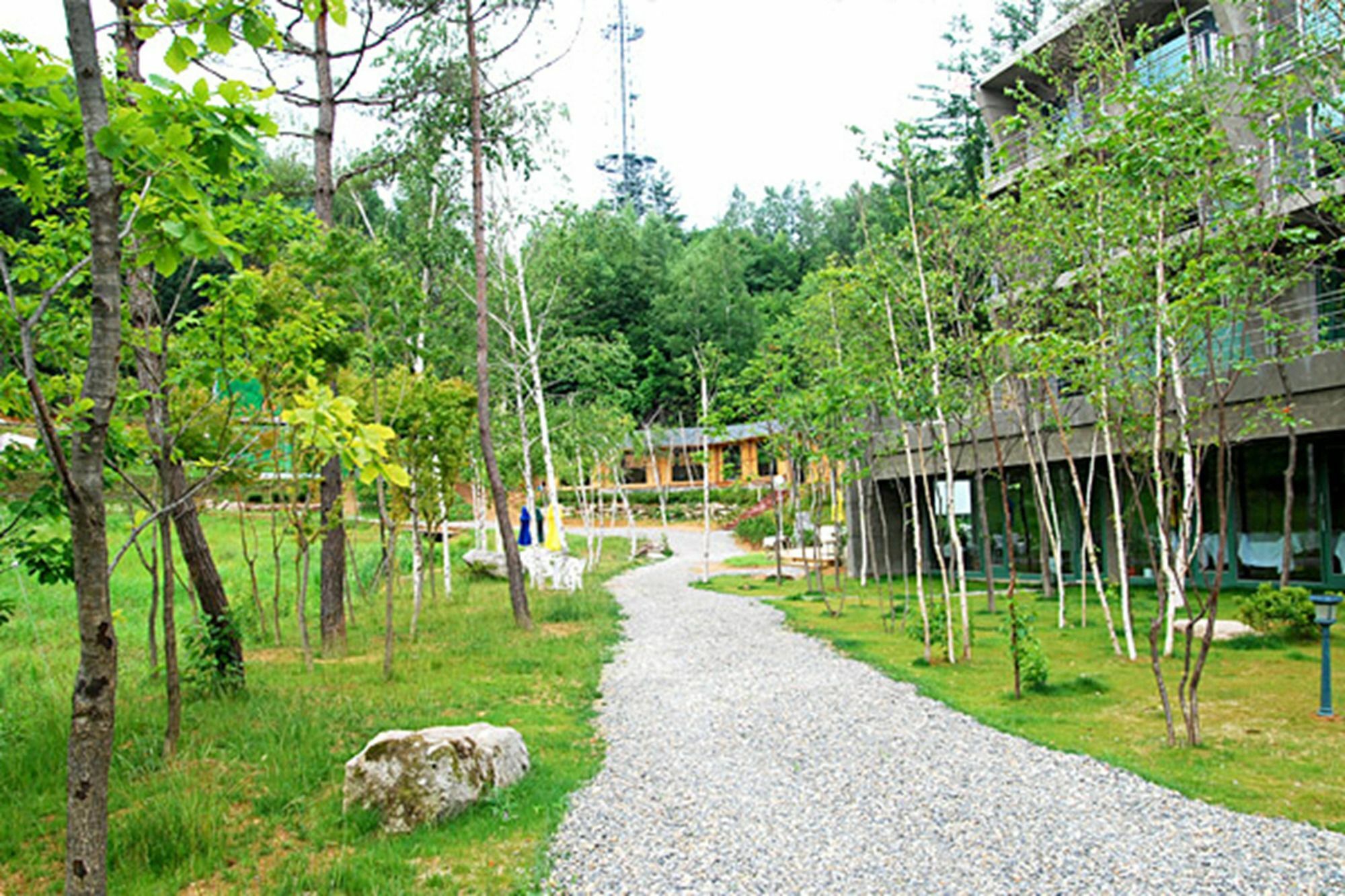 Pyeongchang The Sky Forest Hotel Exterior photo